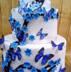 Meet your Posher, Ibarra